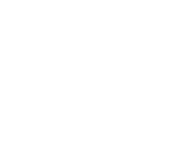 Top Notch Wraps Logo